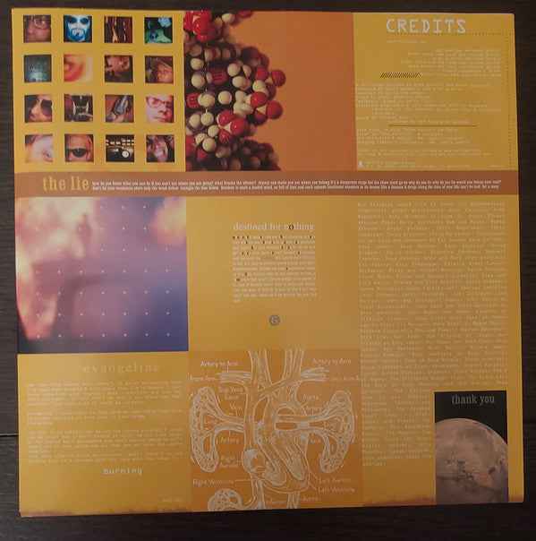 Bad Religion - The Process Of Belief LP (Epitaph Records,Epitaph RecordsVinyl, LP, 20th Anniv. Ed Orange Black GalaxyMint (M))