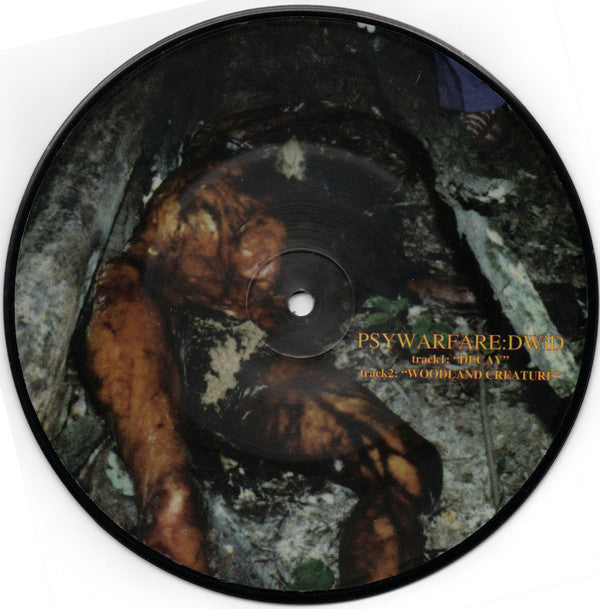 Integrity (2) / Psywarfare : Integrity / Psywarfare (7", EP, Pic)