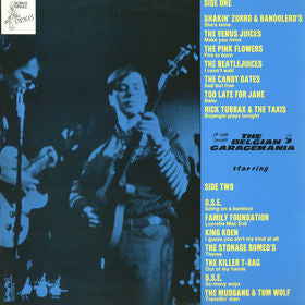 Various : The Belgian Garagemania 5 (LP, Comp)