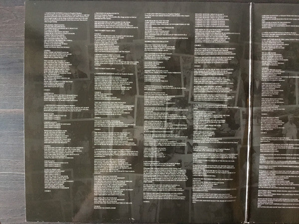 Dropkick Murphys : The Meanest Of Times (2xLP, Album, Gat)