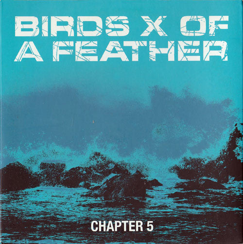 Birds X Of A Feather* : Chapter 5 (7", EP)
