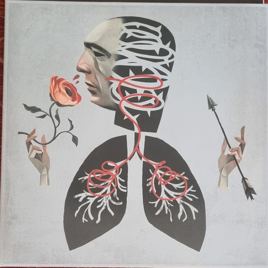 Hot Water Music : Vows (LP, Album, Lea)