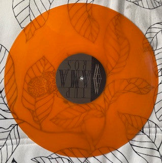Tupamaros (2) : Our Modern Paest (LP, Album, tra)