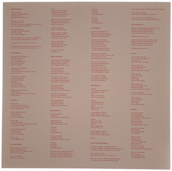 Fake Names : Punk Ruins (LP, Album, Ltd, Cok)