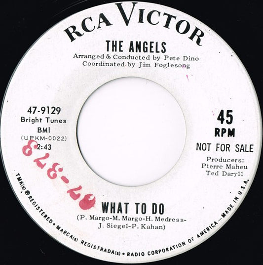 The Angels (3) : I Had A Dream I Lost You (7", Promo)