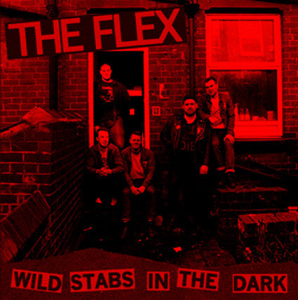 The Flex (3) : Wild Stabs In The Dark (12", Album, Pin)